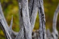 Nature Abstract Ã¢â¬â Naturally Weathered Wood